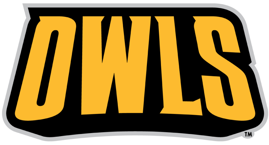 Kennesaw State Owls 2012-Pres Wordmark Logo diy DTF decal sticker